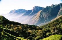 The Untouched Beauty Of The Western Ghats