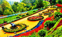 List Of Botanical Gardens In India