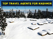 Top 15 Travel Agents For Kashmir 2017