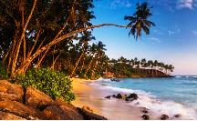 5 Facts About Sri Lanka Beaches That You Must Know Before You Plan Your Next Visit