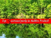 Top 3 National Parks In Andhra Pradesh