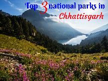 Top 3 National Parks In Chhattisgarh