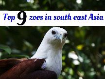 Top 9 Zoos In South East Asia 