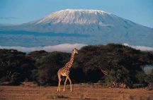 Kenya Travelogues And Travel Stories – Wildlife And Adventure Trip