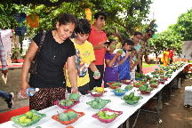 Haryana Successfully Started Mango Mela At Pinjore Gardens