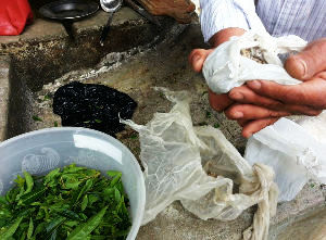 World's Most Dangerous Tours. Not for the light-hearted