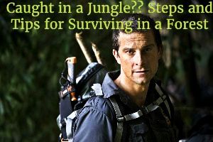 Caught in a Jungle?? Tips and Steps to Survive in a Forest
