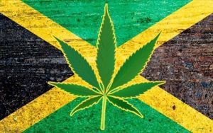 Travel experts say Jamaica could be king of marijuana tourism