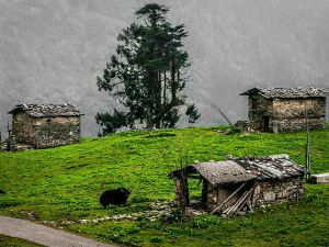 Dear Traveller: Here is another reason to visit Arunachal Pradesh if you haven't already