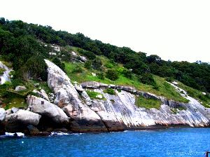 Deadliest Island Of The World : Has One Snake For Every Square Meter