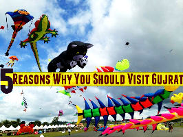5 Reasons Why You Should Visit Gujarat