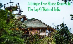 5 Unique Tree House Resorts In The Lap Of Natural India