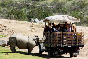 World's Best Drive Through Safari Parks