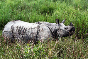 The most popular  Heritage Sites in India