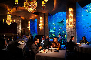 5 Elite Class And Romantic Restaurants In Dubai For A Luxurious Experience