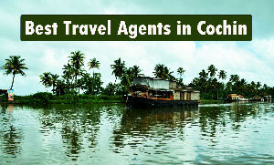 Best Travel Agents in Cochin