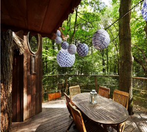 Best Eco Resorts In India For Nature Lovers And Eco Sensitive People