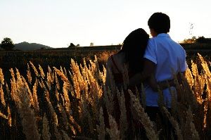 Best Honeymoon Destinations in Meghalaya
