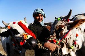 Knowing The Land Better Through The Colourful Festivals of Afghanistan