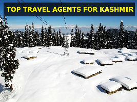 Top 15 Travel Agents for Kashmir 2017