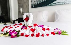 5 Best nature Honeymoon Destinations in India