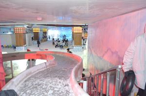 Explore the 5 Best Snow Parks of India