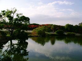 Government Frames Measures To Protect Lakes In Bengaluru