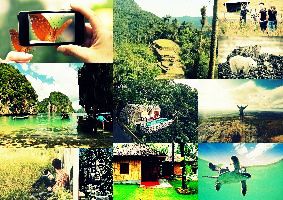 7 Reasons You Should Not Miss A Jungle Adventure 