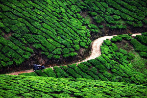 Kerala Most Charming Hill Destinations