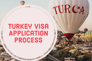 Turkey Visa Application Process