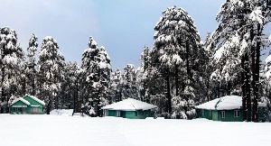 Best Time to Visit Patnitop