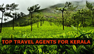 Top 15 Travel Agents for Kerala in 2017
