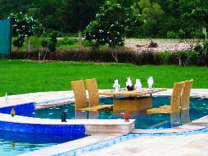 Top 5 Wildlife Resorts In Corbett