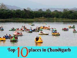 THE 15 BEST Things to Do in Chandigarh (Updated 2024)