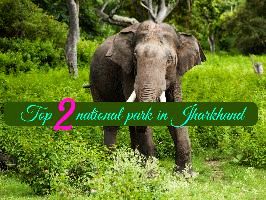 Top 2 national park in Jharkhand