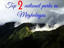 Top 2 national parks in Meghalayas