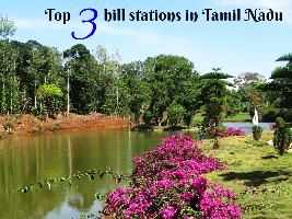 Top 3 hill stations in Tamil Nadu