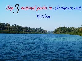 Top 3 national parks in Andaman and Nicobar