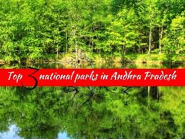 Top 3 national parks in Andhra Pradesh