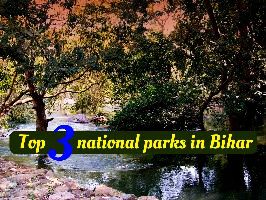 Top 3 national parks in Bihar