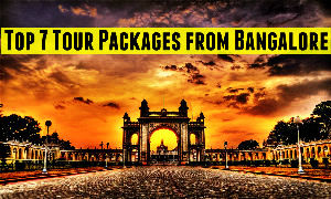 Top 7 Tour Packages from Bangalore