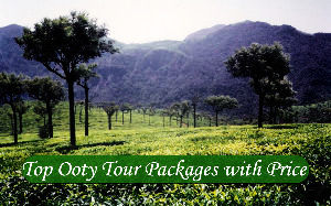 Top Ooty Tour Packages with Price