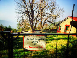 Uttarakhand Emphasis On Developing Ecotourism By Unfolding Dark Bungalow Tales