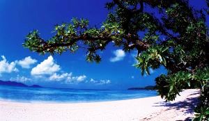 Asias Untouched Island Destinations Cuddle With Special Touch And Love