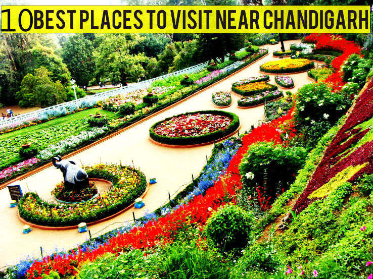 10  Best Places to Visit Near Chandigarh from 50 to 500km