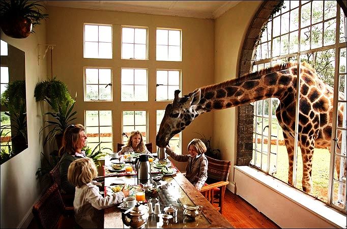 The Giraffe Manor, Kenya