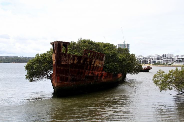 Floating Forest