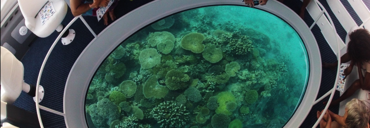 Andaman Island Glass Bottle Cruise