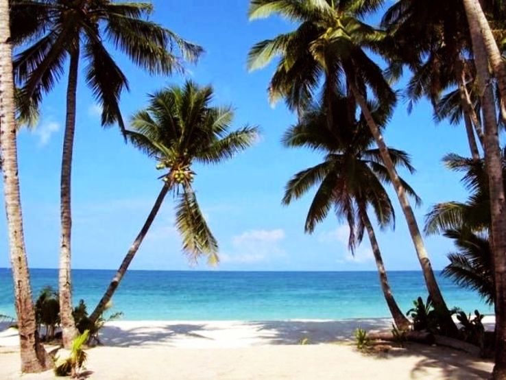 Beaches