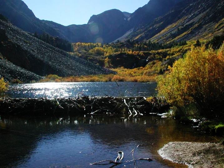 The Beaver Dam in Alberta, Canada